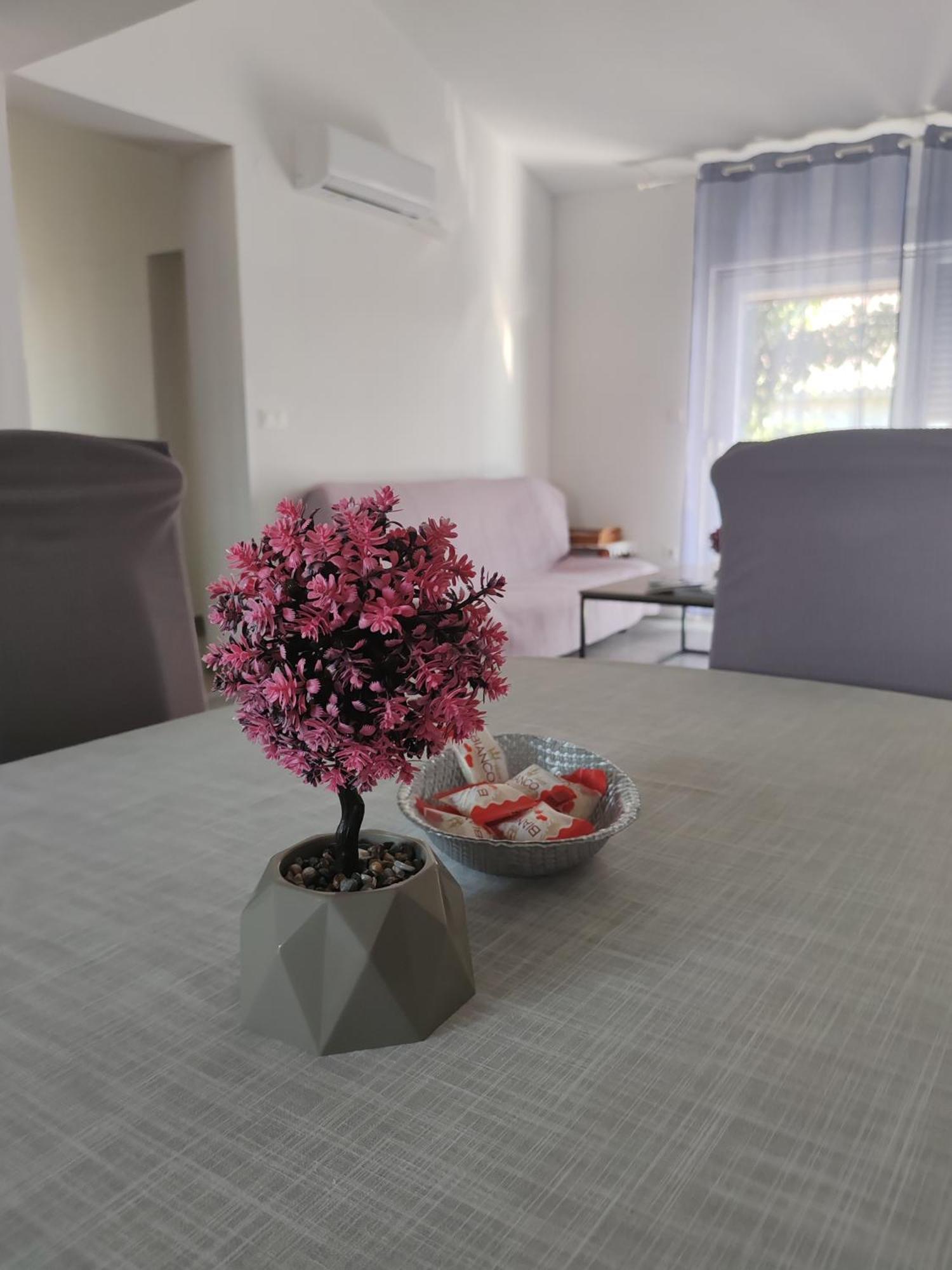 Apartman Olic Ražanac Eksteriør billede